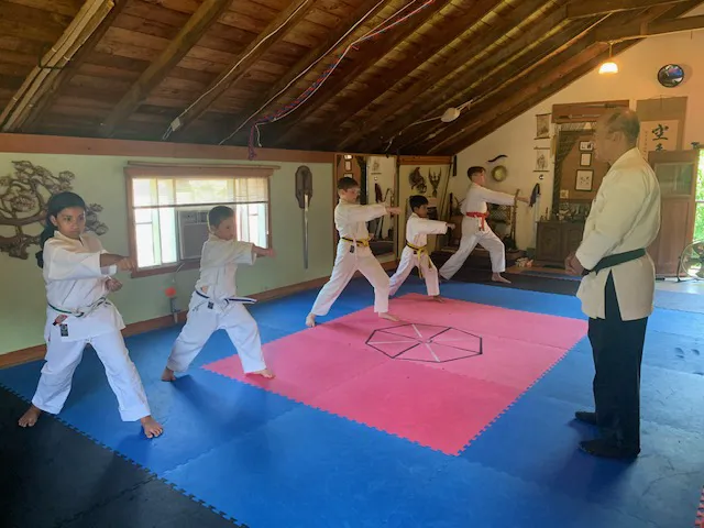 Shuto Karate Club - Hombu Dojo Picture 1