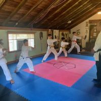 Shuto Karate Club - Hombu Dojo ico