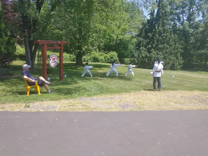 Shuto Karate Club - Hombu Dojo Picture 3