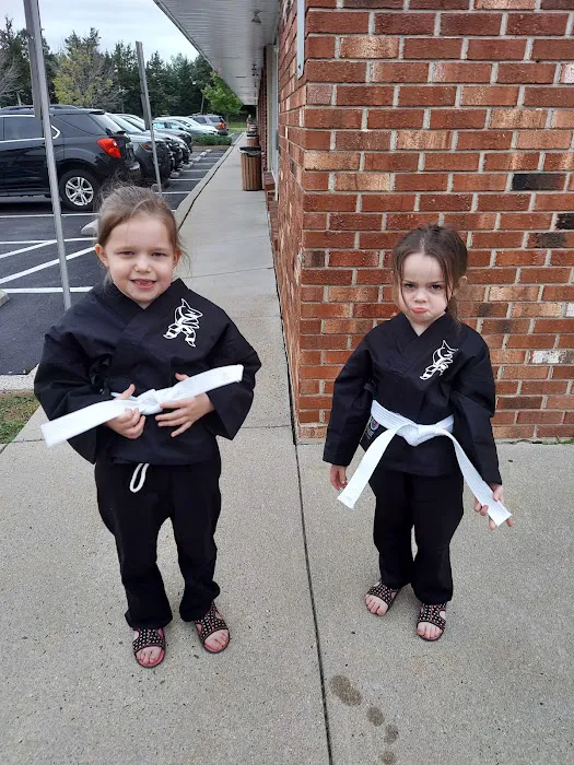 Action Karate Skippack Picture 1