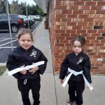 Action Karate Skippack