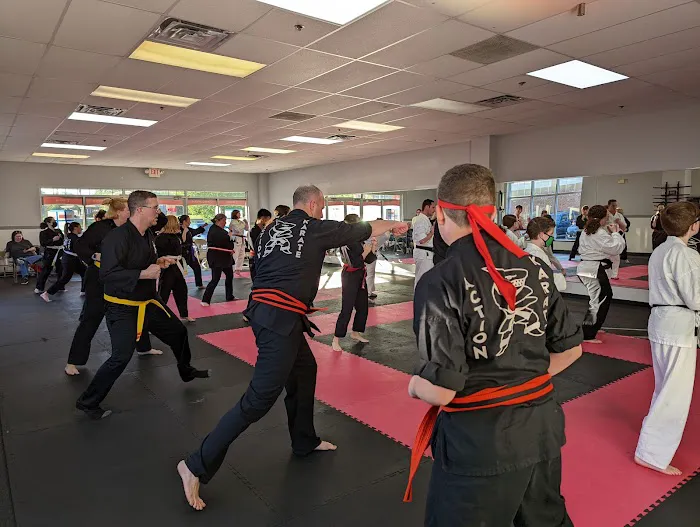 Action Karate Skippack Picture 2