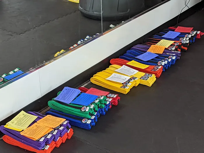 Action Karate Skippack Picture 6