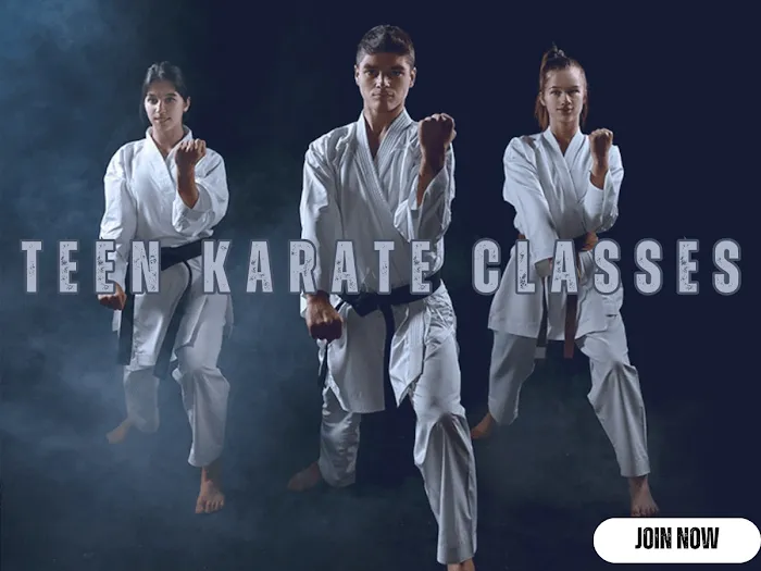 Action Karate Skippack Picture 9