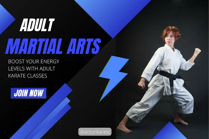 Action Karate Skippack Picture 10