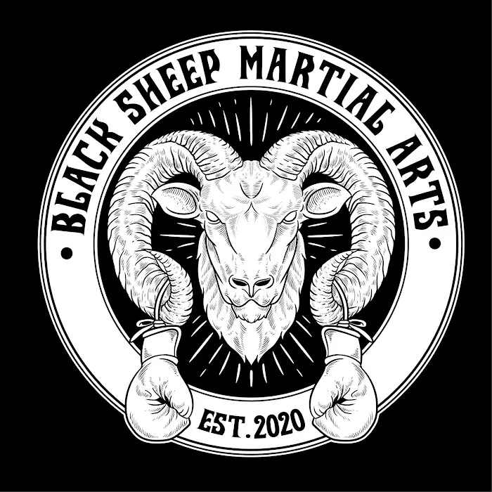 Black Sheep Martial Arts Picture 3