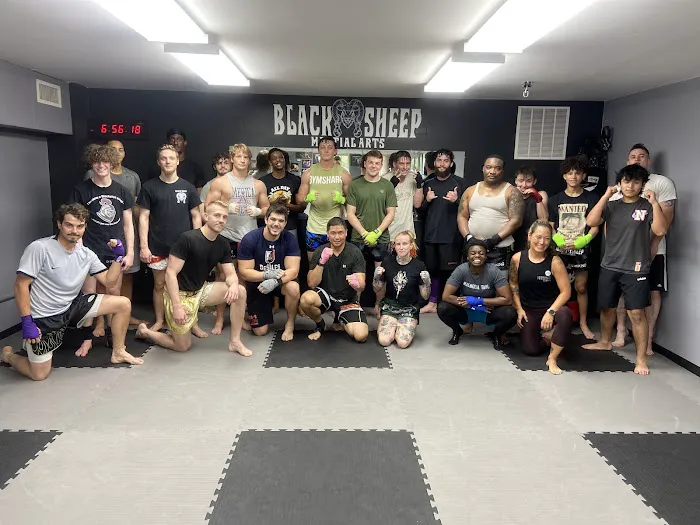 Black Sheep Martial Arts Picture 2