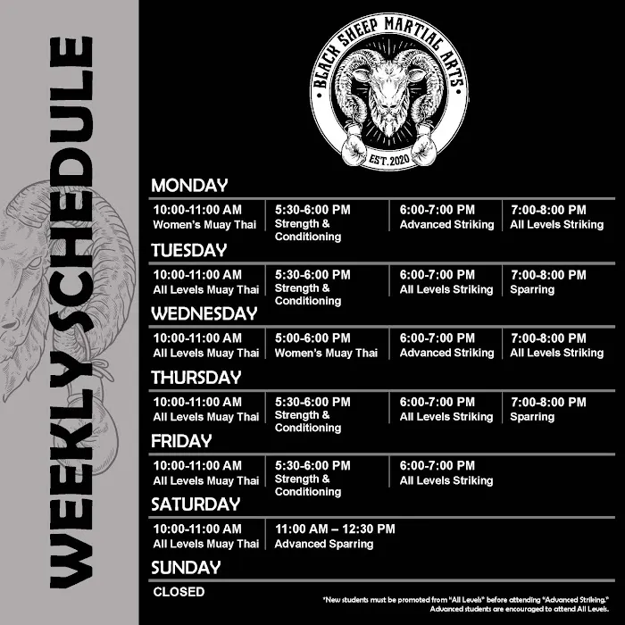 Black Sheep Martial Arts Picture 6