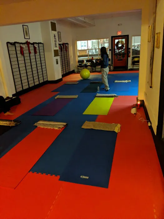 Mushin Ryu Aikido Picture 1