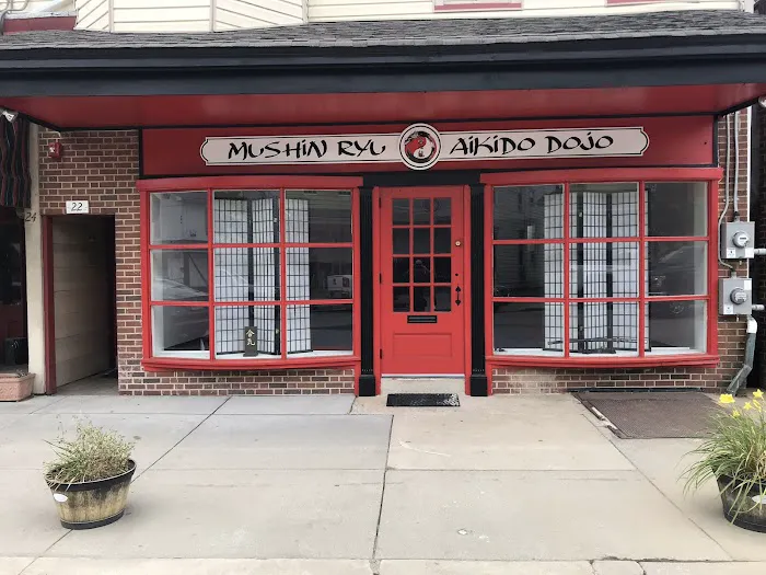 Mushin Ryu Aikido Picture 5