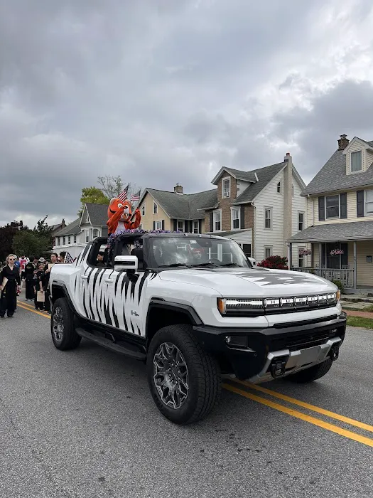 Tiger Kicks Martial Arts Picture 1