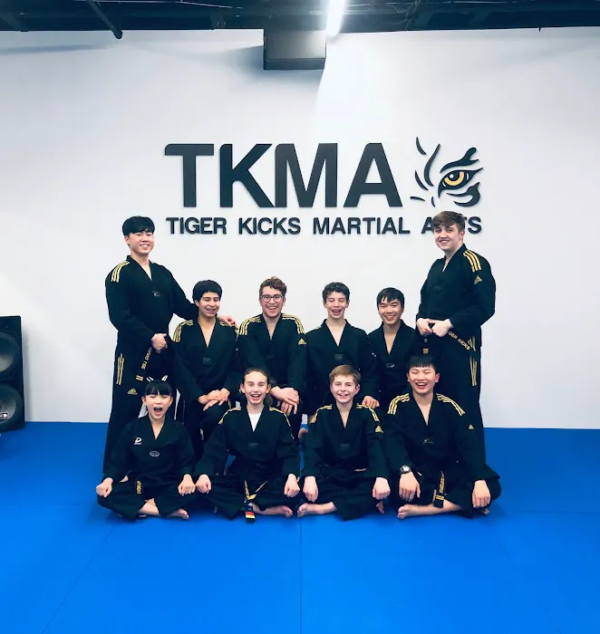 Tiger Kicks Martial Arts Picture 4