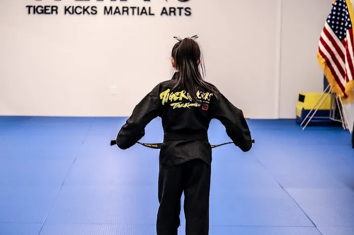 Tiger Kicks Martial Arts Picture 5