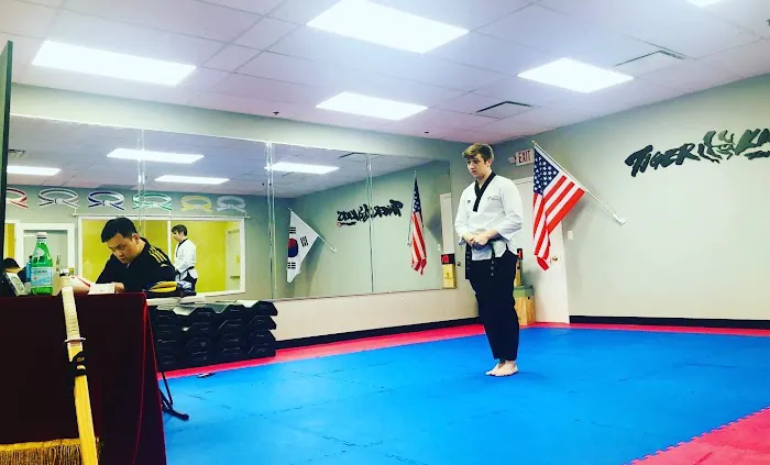 Tiger Kicks Martial Arts Picture 8