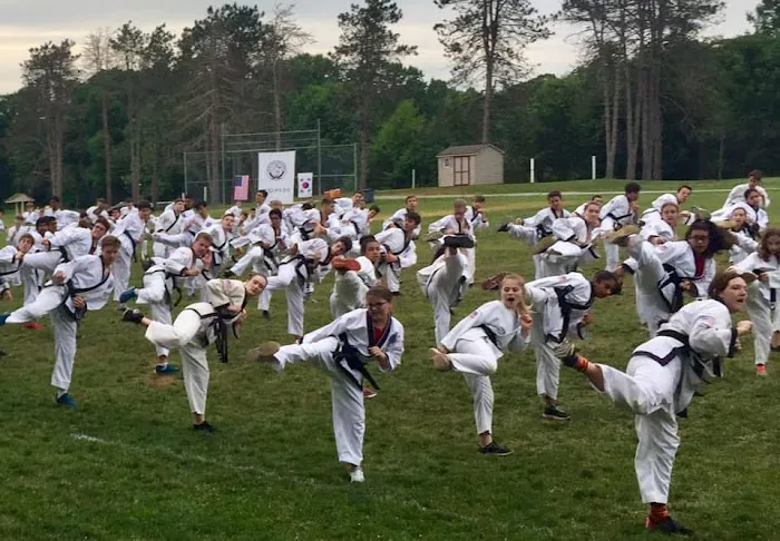 Korean Martial Arts Institute Picture 3