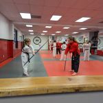 East Coast Karate Institute