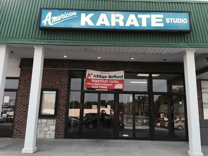 Pat Caputo's American Karate Studio Picture 4