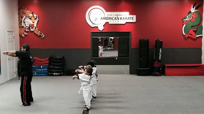 Pat Caputo's American Karate Studio Picture 2