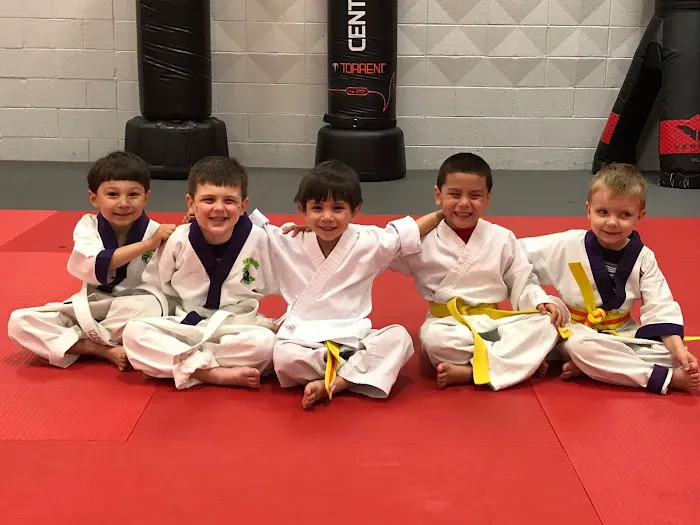 Pat Caputo's American Karate Studio Picture 6