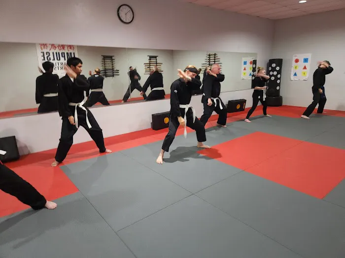 Impulse Martial Arts Picture 2