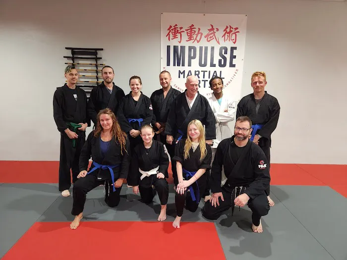 Impulse Martial Arts Picture 9