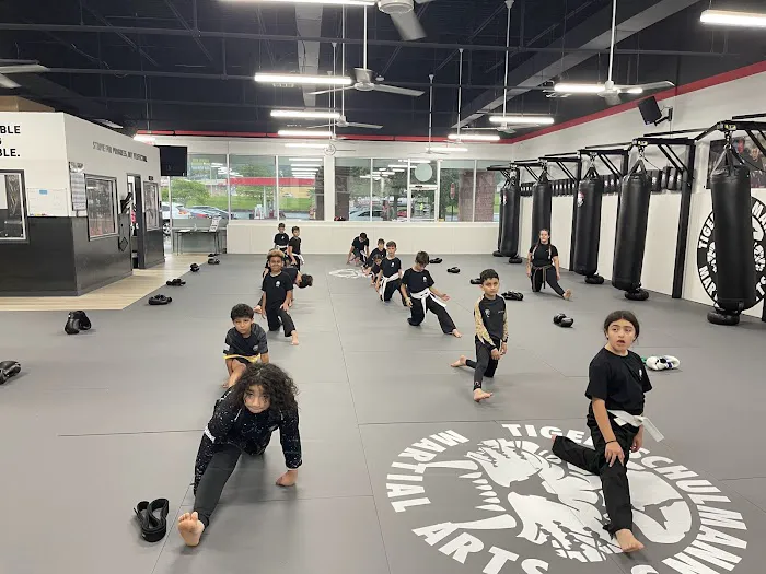 Tiger Schulmann's Martial Arts (Easton, PA) Picture 3