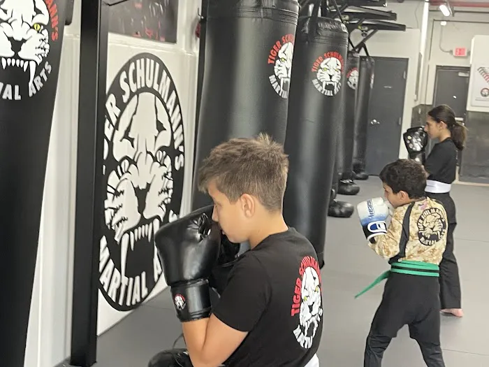 Tiger Schulmann's Martial Arts (Easton, PA) Picture 1