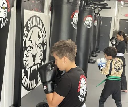 Tiger Schulmann's Martial Arts (Easton, PA)