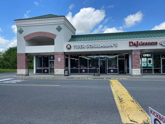 Tiger Schulmann's Martial Arts (Easton, PA) Picture 2