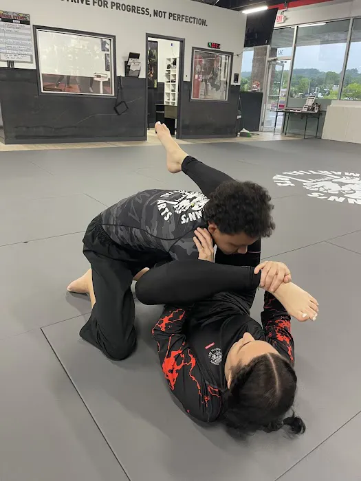 Tiger Schulmann's Martial Arts (Easton, PA) Picture 4