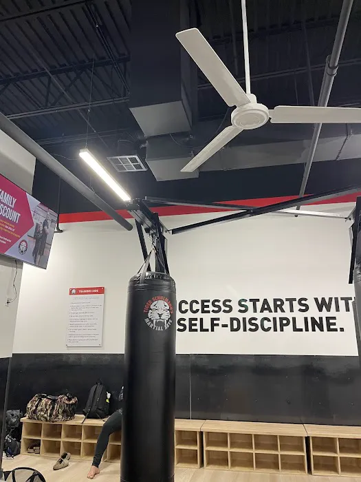 Tiger Schulmann's Martial Arts (Easton, PA) Picture 7