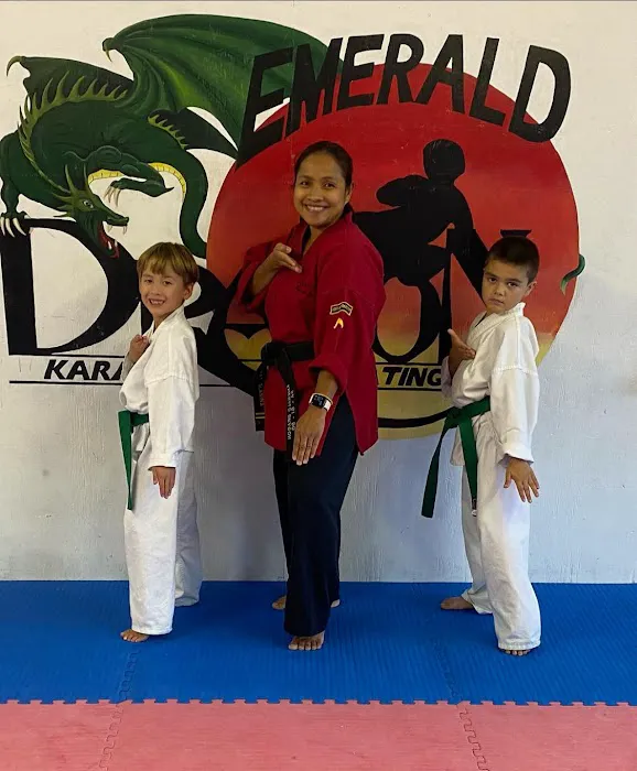 Emerald Dragon Karate Picture 1