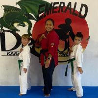 Emerald Dragon Karate ico