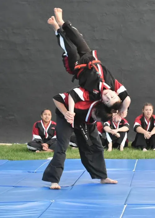 Emerald Dragon Karate Picture 5