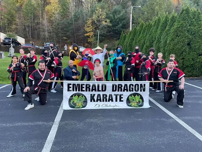 Emerald Dragon Karate Picture 9