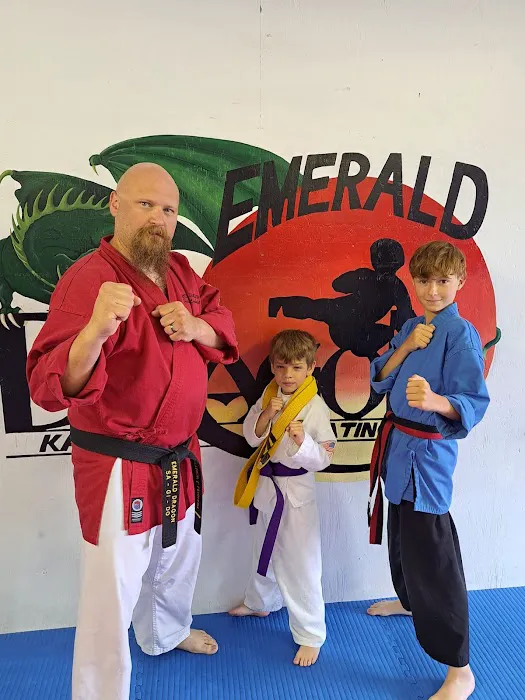 Emerald Dragon Karate Picture 7