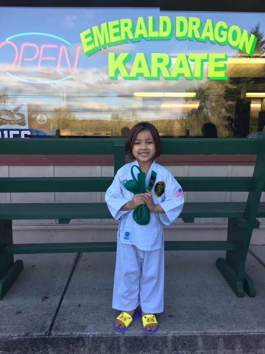 Emerald Dragon Karate Picture 10
