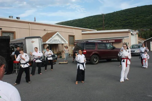 Mountain Karate Academy Picture 2