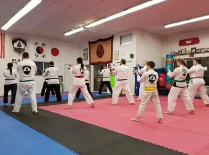 Mountain Karate Academy Picture 3