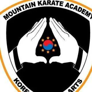 Mountain Karate Academy Picture 6