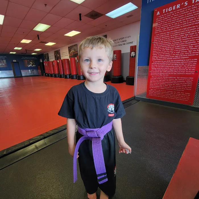 Tiger Schulmann's Martial Arts (Allentown, PA) Picture 2