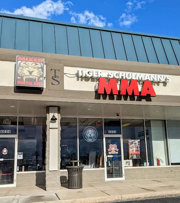 Tiger Schulmann's Martial Arts (Allentown, PA) Picture 1