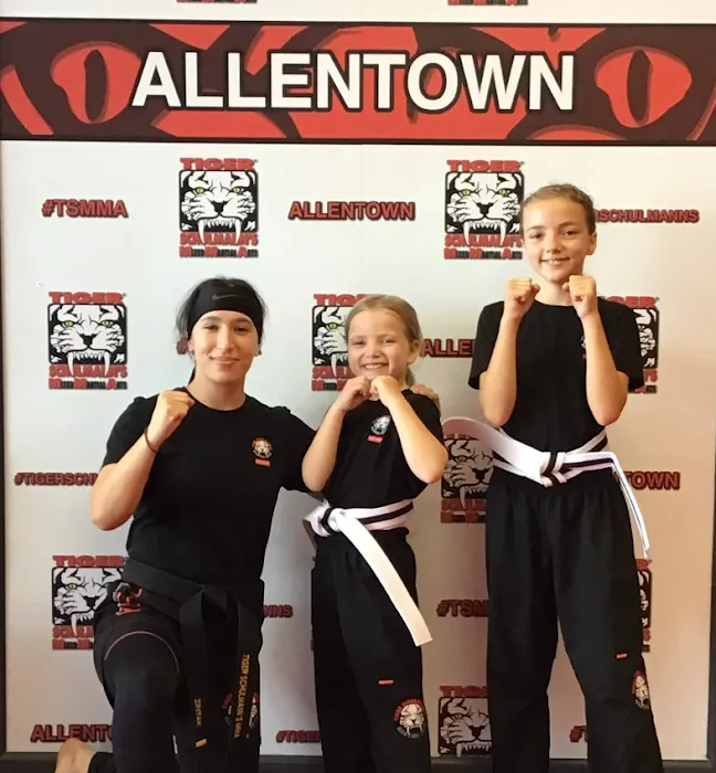 Tiger Schulmann's Martial Arts (Allentown, PA) Picture 7
