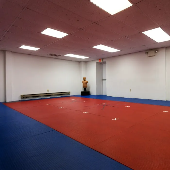 Hoover Karate Academy Picture 1