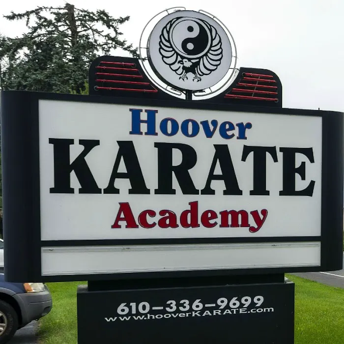 Hoover Karate Academy Picture 9