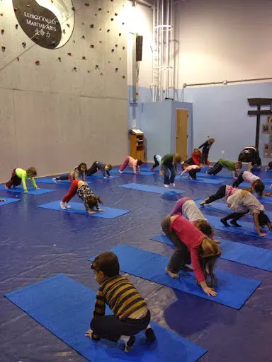 Lehigh Valley Martial Arts: Fogelsville Picture 2