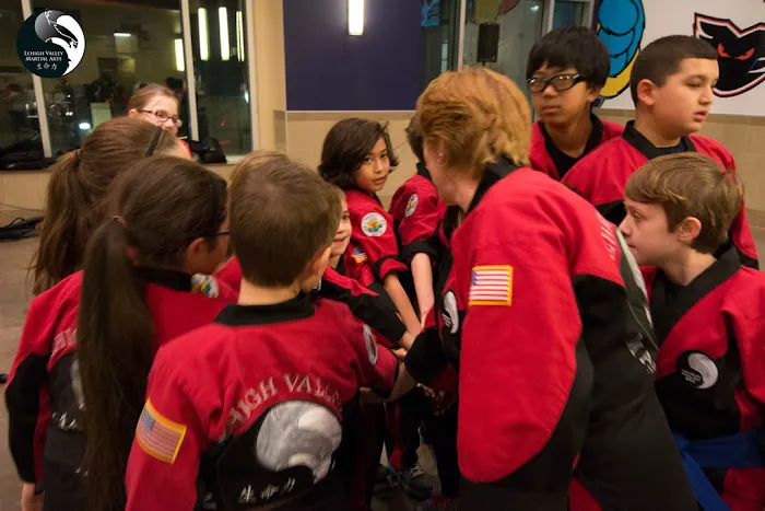 Lehigh Valley Martial Arts: Fogelsville Picture 8