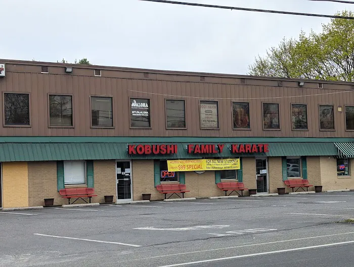 Genbukan Kobushi Dojo Picture 1