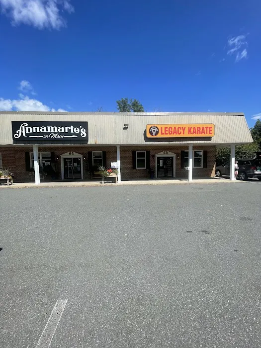 Legacy Karate Academy - Birdsboro, PA Picture 4