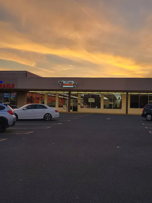 Elite Leadership Martial Arts Academy Picture 4